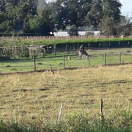 Farmer's Prinsenbeek